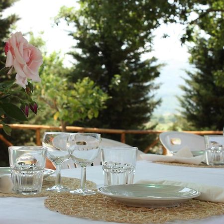 Vila Agriturismo La Colombaia Vicchio Exteriér fotografie