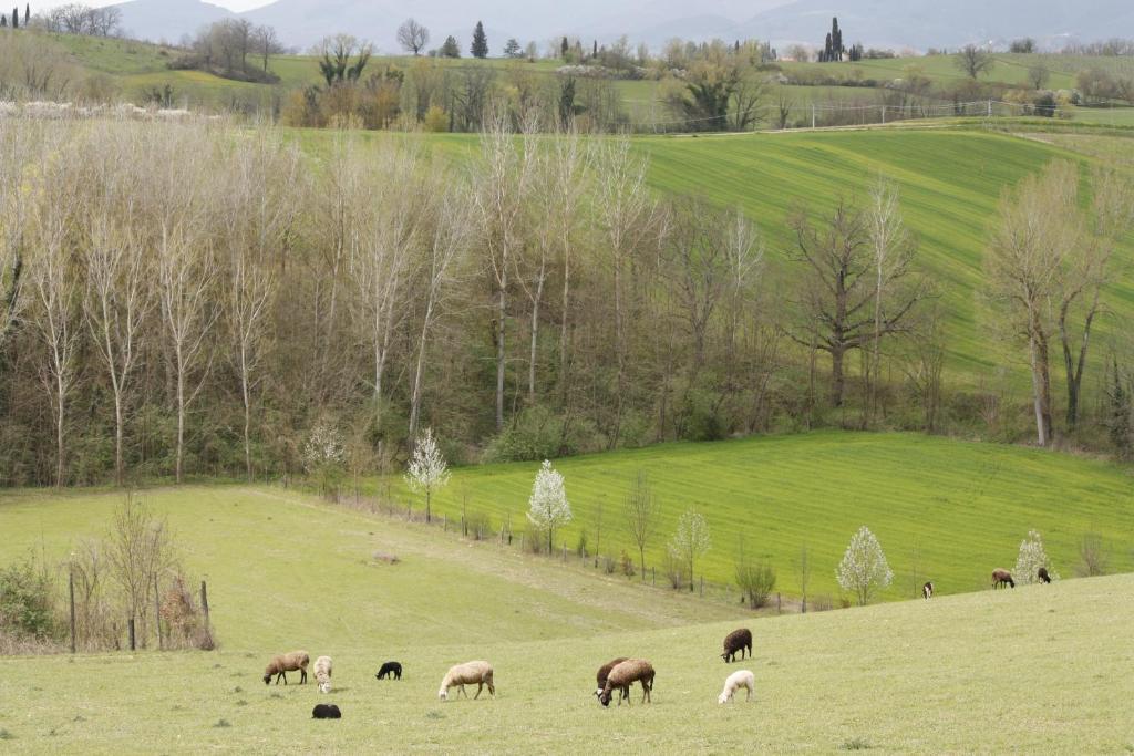 Vila Agriturismo La Colombaia Vicchio Exteriér fotografie