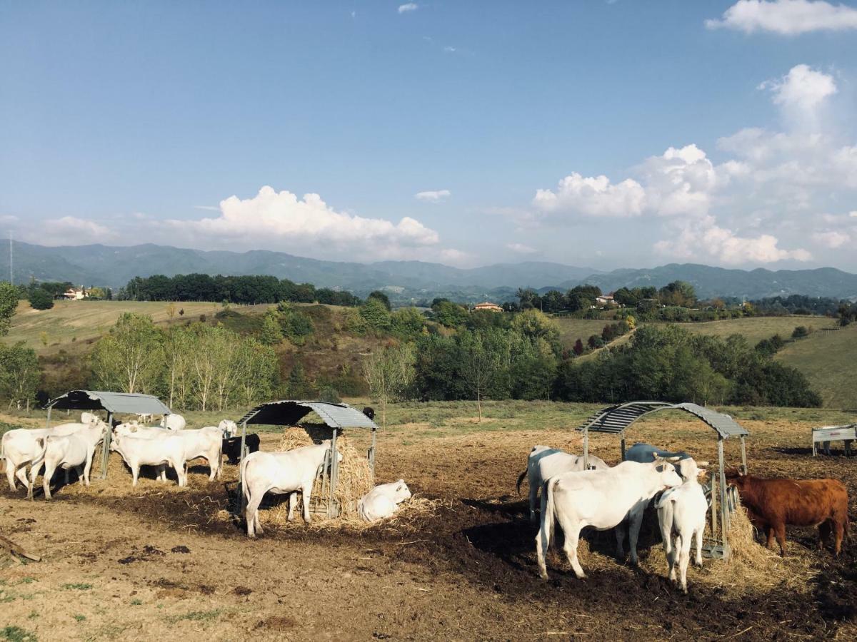 Vila Agriturismo La Colombaia Vicchio Exteriér fotografie